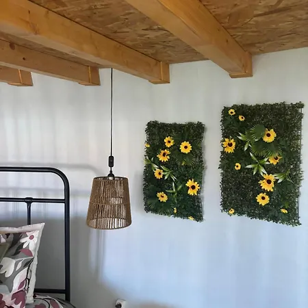 Casinhas Dos Valados Aldeamento Turístico